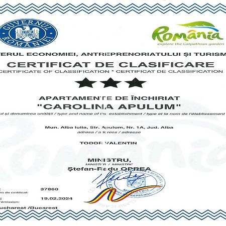 Vila Carolina Apulum Villa อัลบายูเลีย ภายนอก รูปภาพ