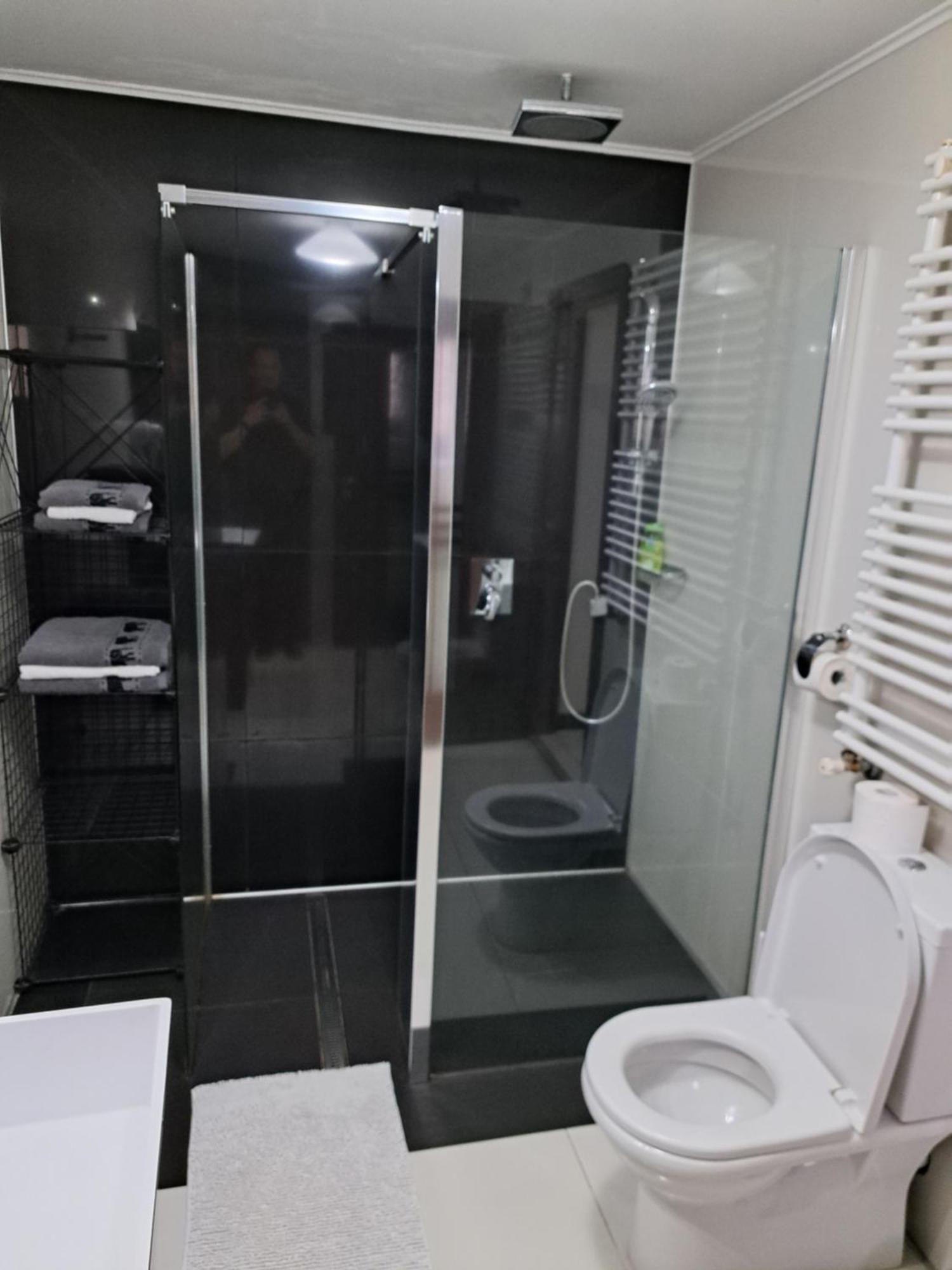 Vila Carolina Apulum Villa อัลบายูเลีย ภายนอก รูปภาพ